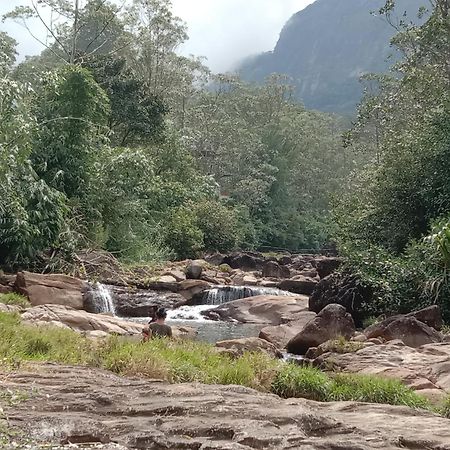 Dilani Adamspeak Riverstay Nallathanniya Extérieur photo
