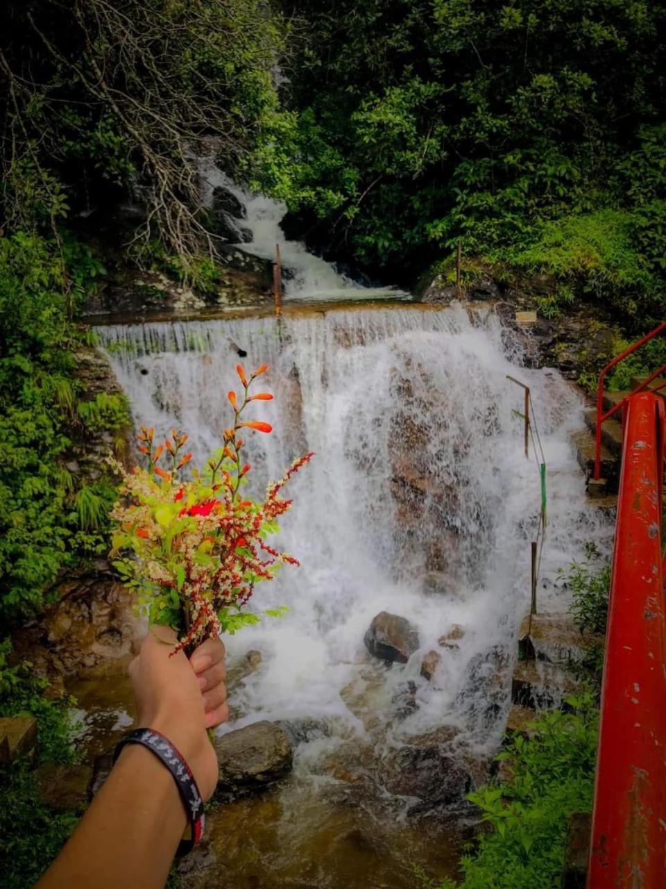 Dilani Adamspeak Riverstay Nallathanniya Extérieur photo