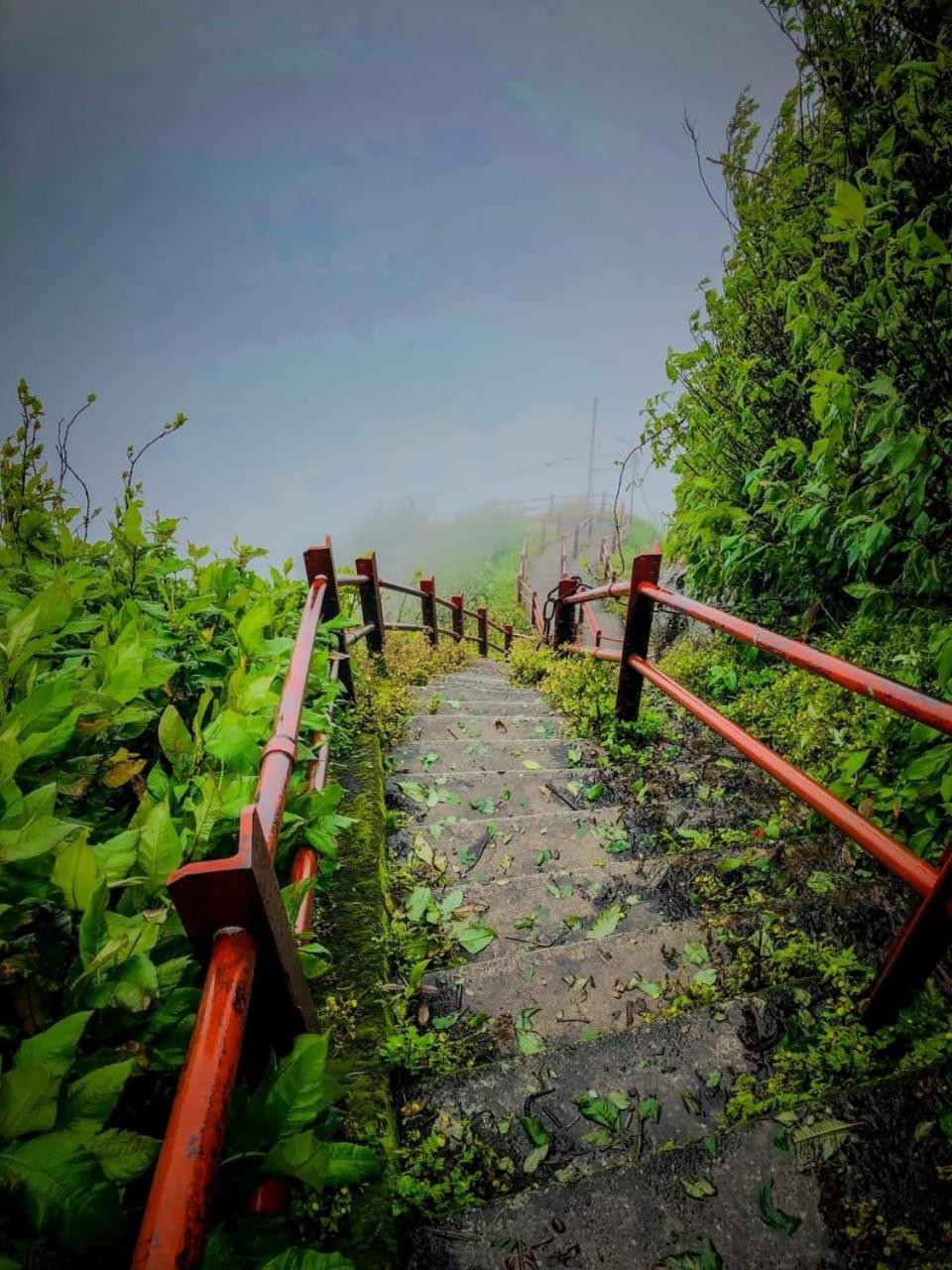 Dilani Adamspeak Riverstay Nallathanniya Extérieur photo