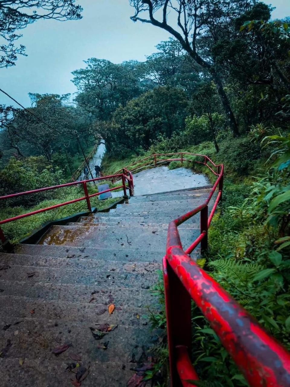 Dilani Adamspeak Riverstay Nallathanniya Extérieur photo