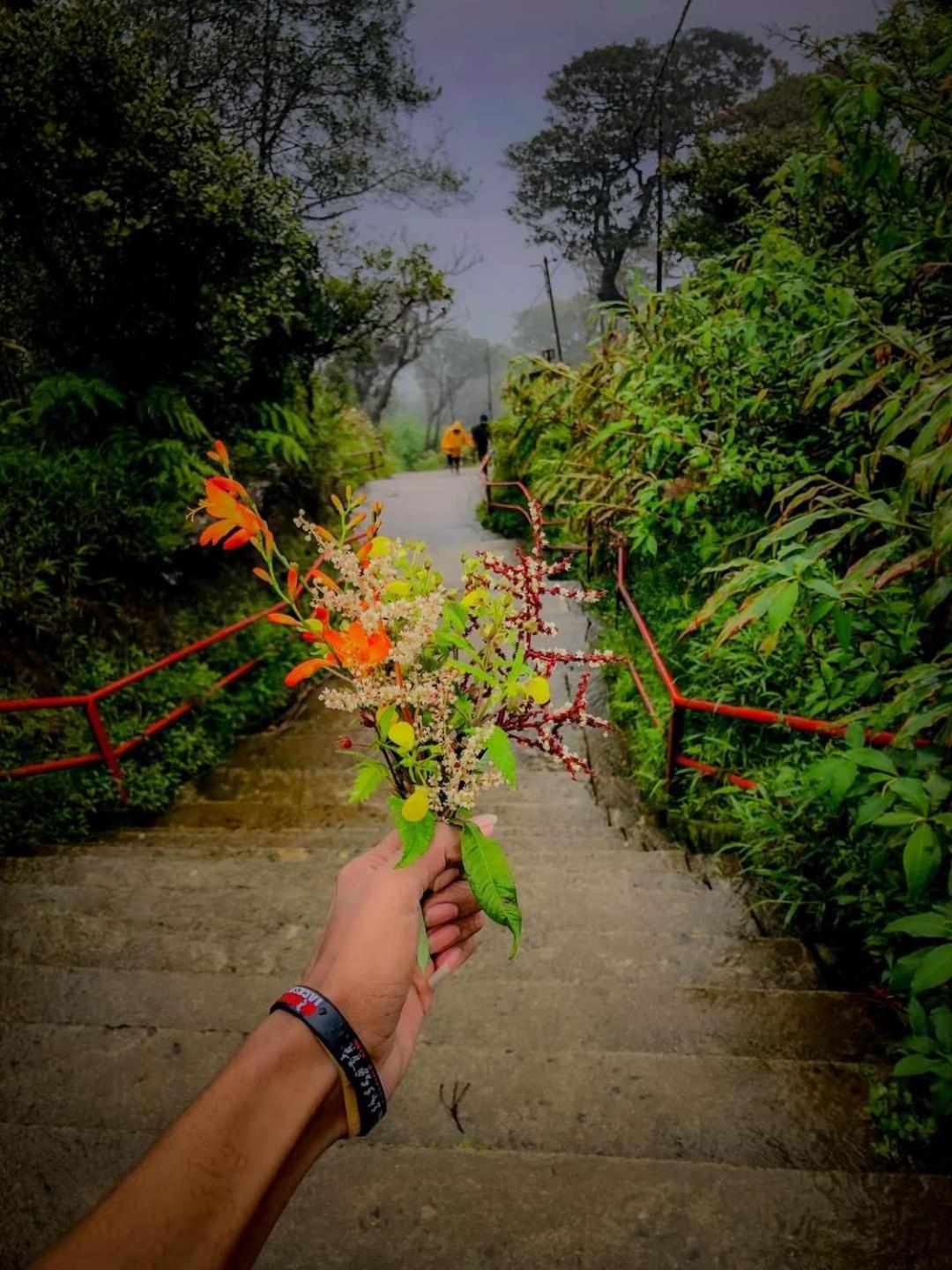 Dilani Adamspeak Riverstay Nallathanniya Extérieur photo