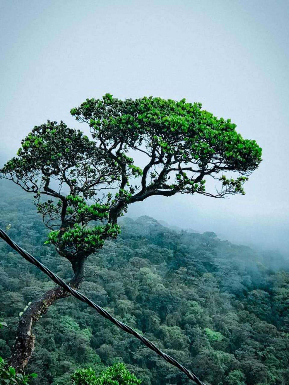 Dilani Adamspeak Riverstay Nallathanniya Extérieur photo